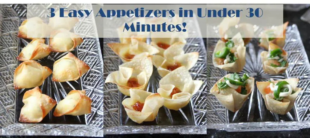 Wonton Appetizer Header
