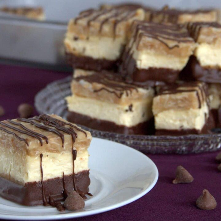 What's better than a Girl Scout Samoas cookie? Nothing, but these Samoas cheesecake bars come in at a very very very close second.