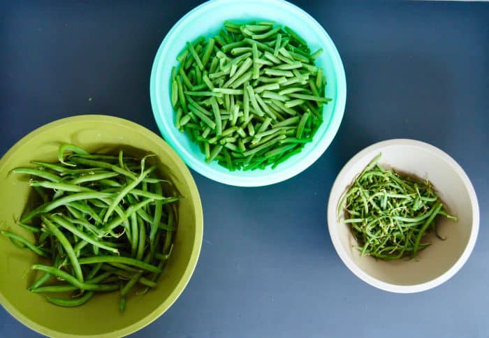 Learn how to can green beans!