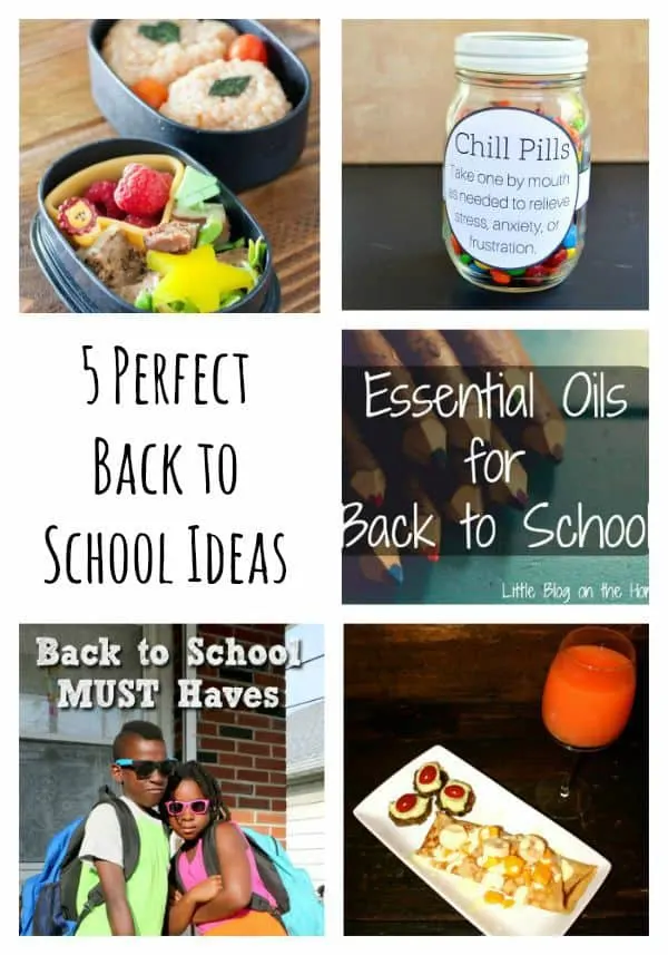 Tips for everything you need for back to school. From health, to lunch, and a little celebration, these easy back to school ideas are sure to make your fall special! 