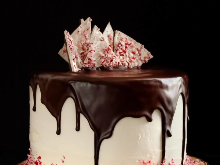Peppermint Mocha Cake - Chocolate Chocolate and More!
