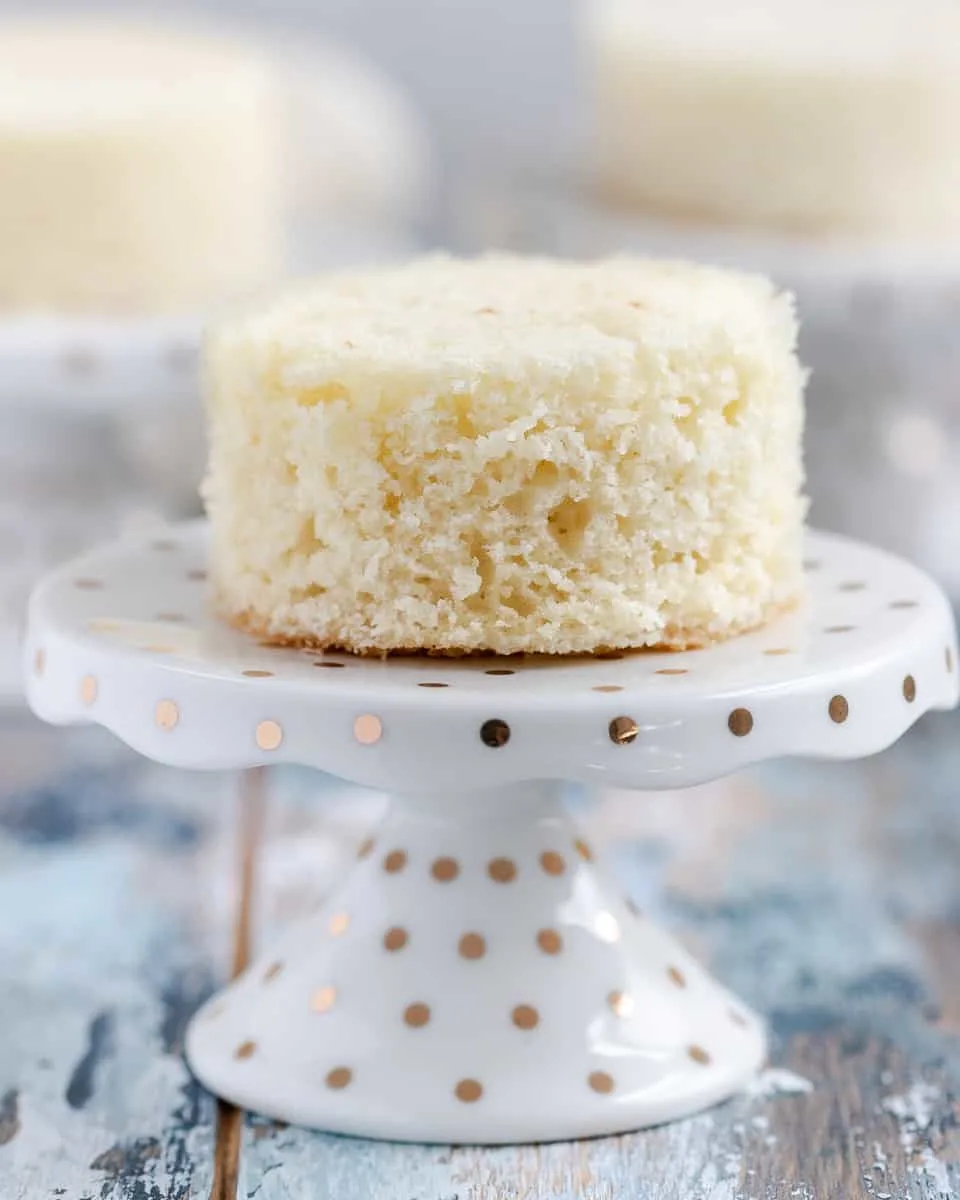 It's time for The Great White Cake Recipe Bake Off! I'll talk about a few different styles of white cake recipes, what separates a white cake from a yellow cake, and the results of a taste test! * GoodieGodmother.com