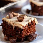 Easy and unfussy, this peanut butter chocolate sheet cake is comfort food in a casserole dish. Sheet cakes are great for a crowd, or dessert for a few days! * Recipe on GoodieGodmother.com #peanutbutter #chocolatecake #easycake #sheetcake