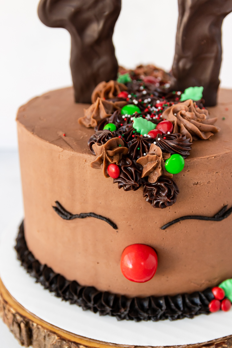 angled close up of the reindeer cake