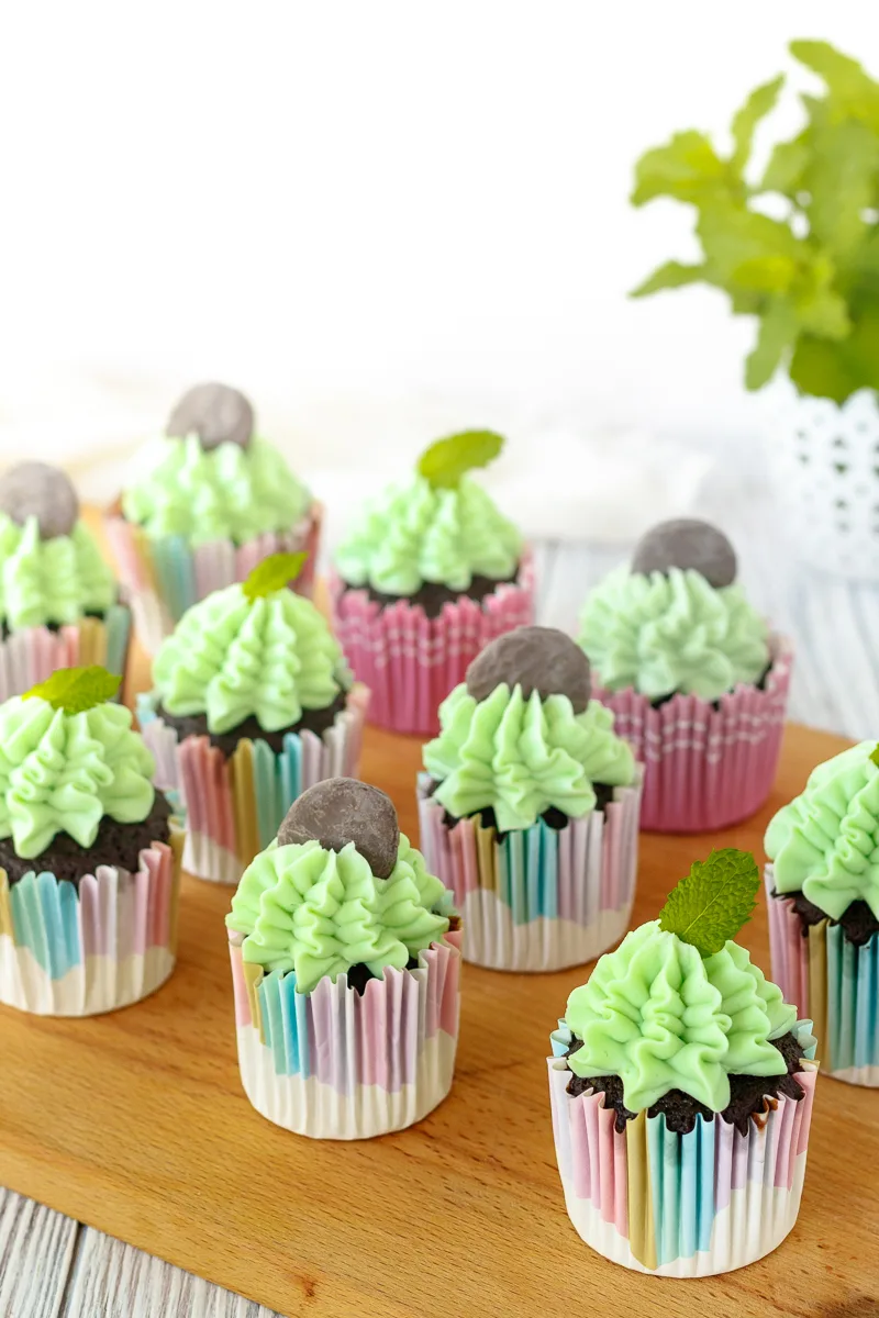 the mini cookie toppers on these fresh mint cupcakes are mini chocolate mint cookies from Trader Joe's