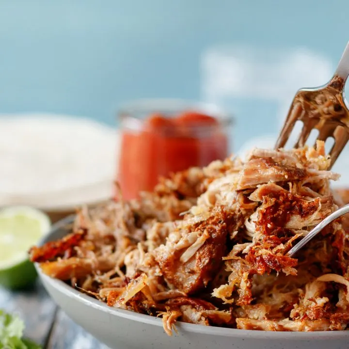 close up of the carnitas showing a mix of crispy edges and juicy pulled pork