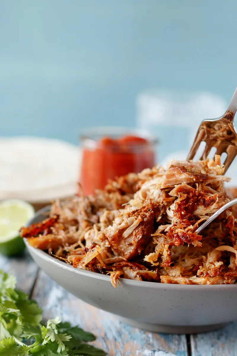 close up of the carnitas showing a mix of crispy edges and juicy pulled pork