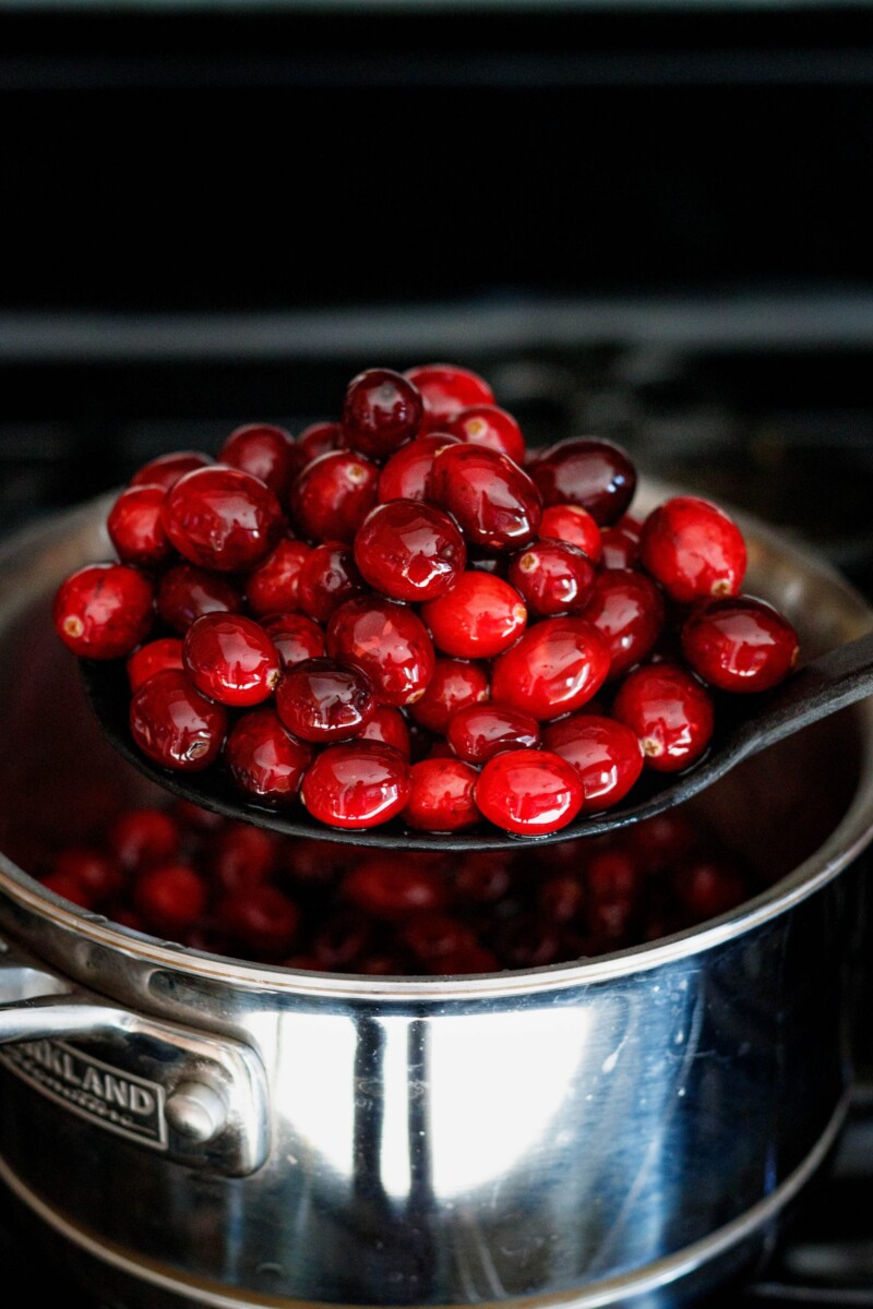 fresh cranberries coated in simple syrup on a spoon