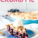 blueberry pie pin image with text