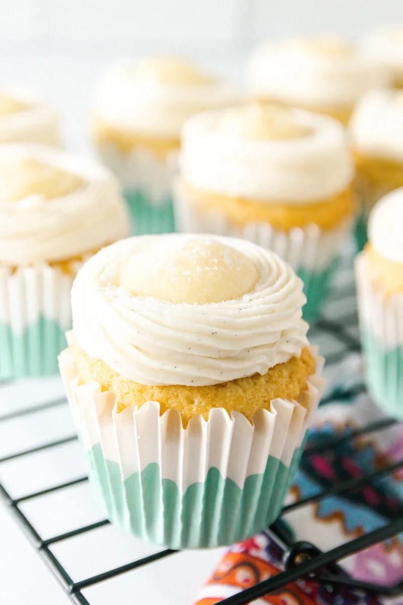 sugar dusted creme brulee cupcakes read for the kitchen torch!