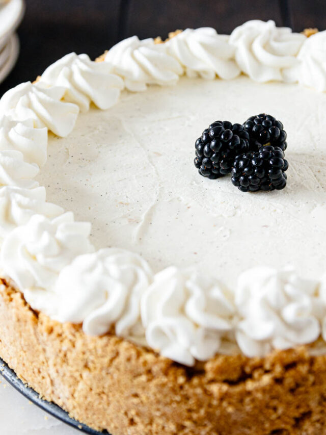 No bake cheesecake with gelatin recipe for beginners!